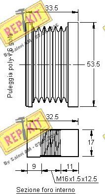 REPKIT RKT2707 - Remenica, alternator www.molydon.hr