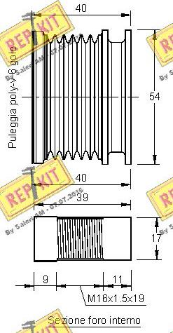 REPKIT RKT2724 - Remenica, alternator www.molydon.hr