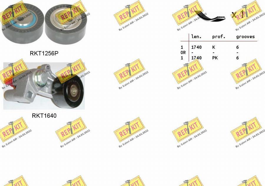 REPKIT RKTA0090 - Garnitura klinastog rebrastog remena www.molydon.hr