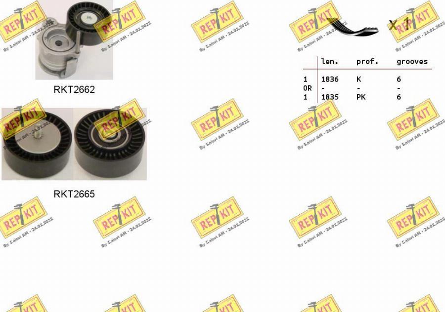 REPKIT RKTA0042 - Garnitura klinastog rebrastog remena www.molydon.hr