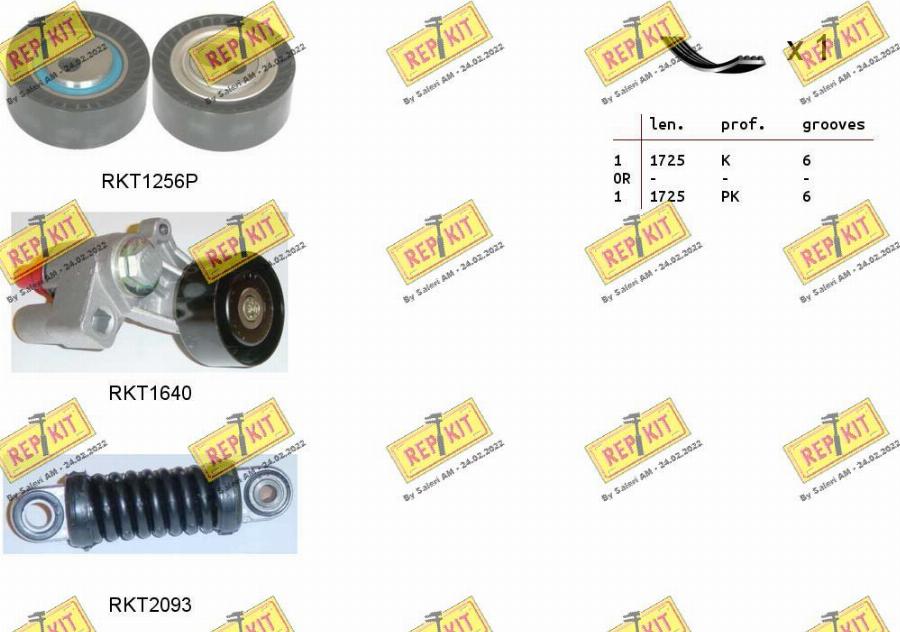 REPKIT RKTA0089 - Garnitura klinastog rebrastog remena www.molydon.hr