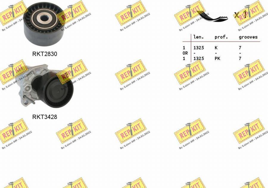 REPKIT RKTA0100 - Garnitura klinastog rebrastog remena www.molydon.hr