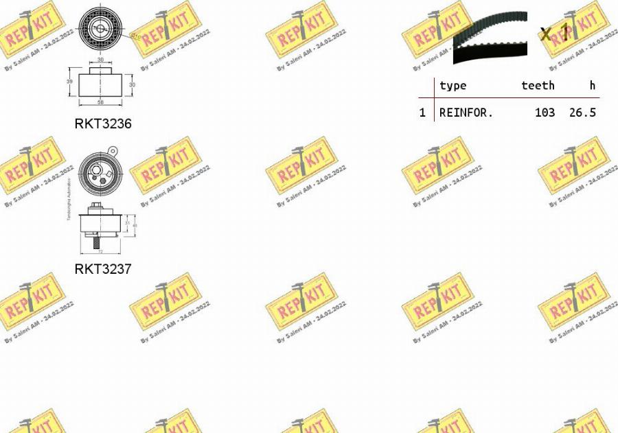 REPKIT RKTK1220 - Komplet zupčastog remena www.molydon.hr