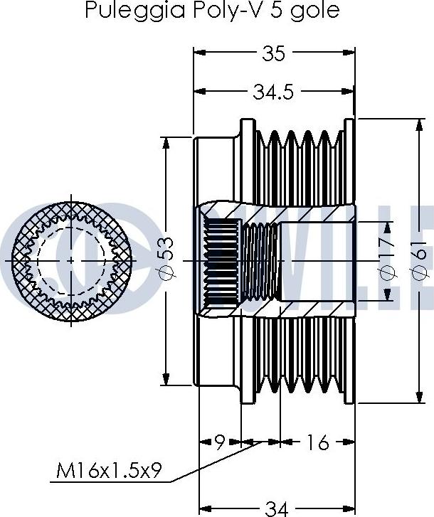 Ruville 541030 - Remenica, alternator www.molydon.hr