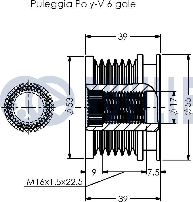 Ruville 541038 - Remenica, alternator www.molydon.hr