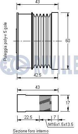 Ruville 541895 - Remenica, alternator www.molydon.hr