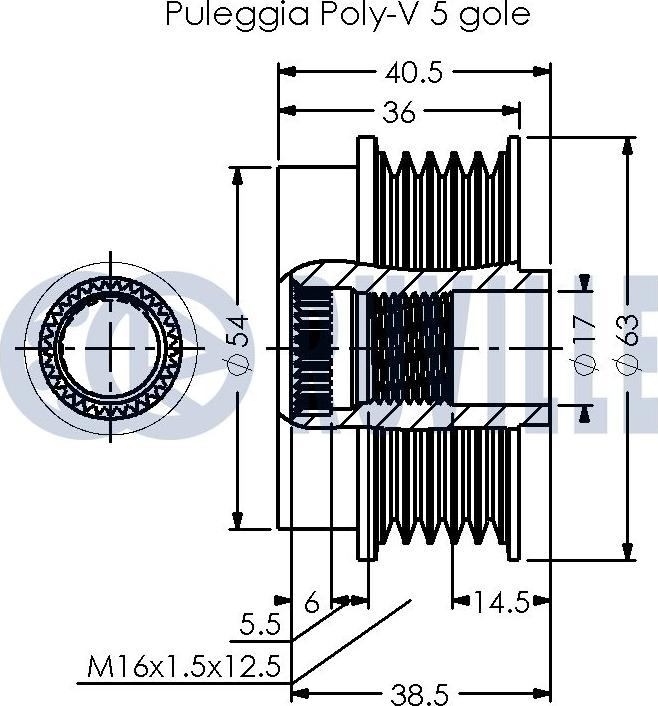 Ruville 542493 - Remenica, alternator www.molydon.hr