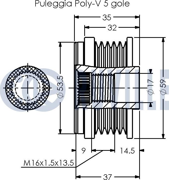 Ruville 542588 - Remenica, alternator www.molydon.hr