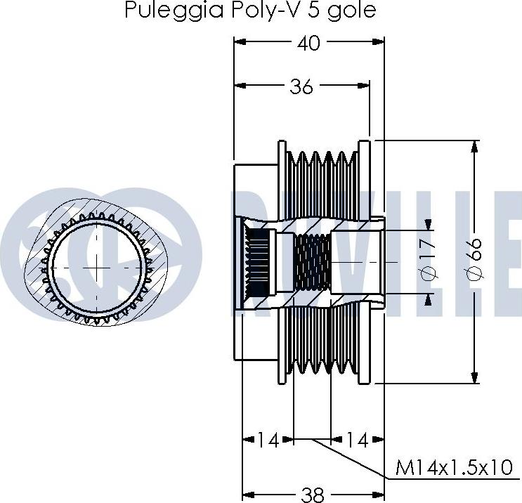 Ruville 542321 - Remenica, alternator www.molydon.hr