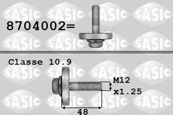 Sasic 8704002 - Vijak remenice www.molydon.hr