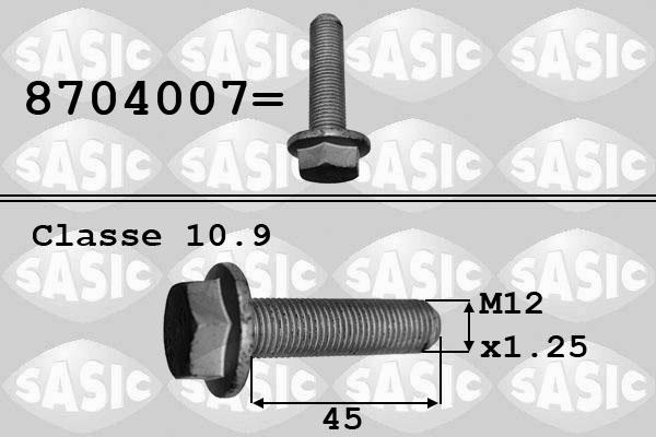 Sasic 8704007 - Vijak remenice www.molydon.hr