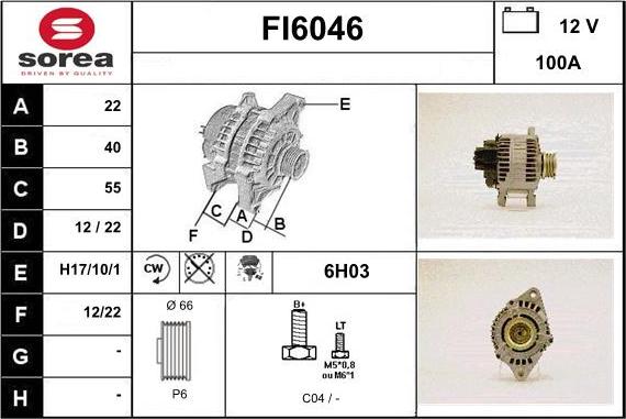 Sera FI6046 - Alternator www.molydon.hr