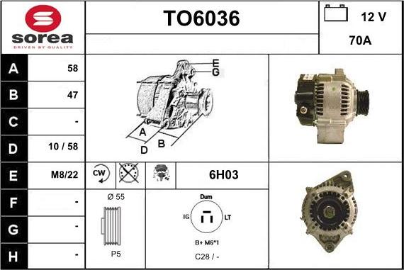 Sera TO6036 - Alternator www.molydon.hr