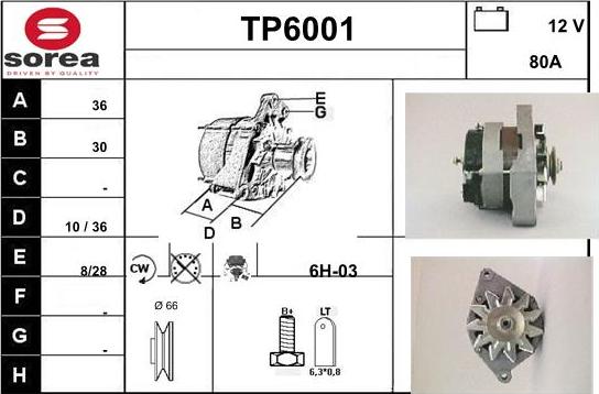 Sera TP6001 - Alternator www.molydon.hr