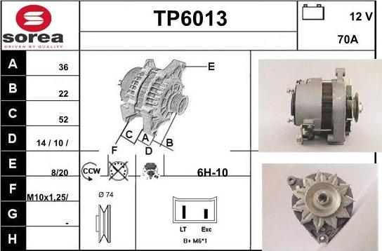 Sera TP6013 - Alternator www.molydon.hr