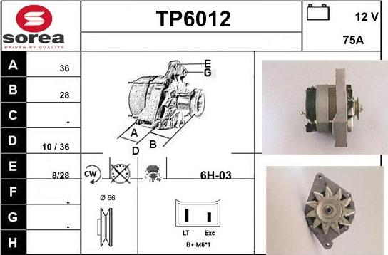 Sera TP6012 - Alternator www.molydon.hr