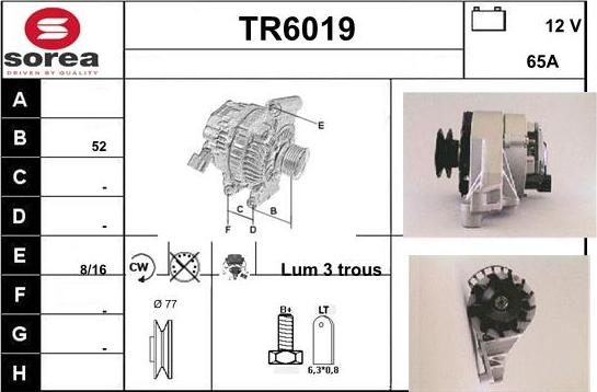 Sera TR6019 - Alternator www.molydon.hr