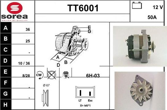 Sera TT6001 - Alternator www.molydon.hr