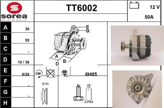 Sera TT6002 - Alternator www.molydon.hr