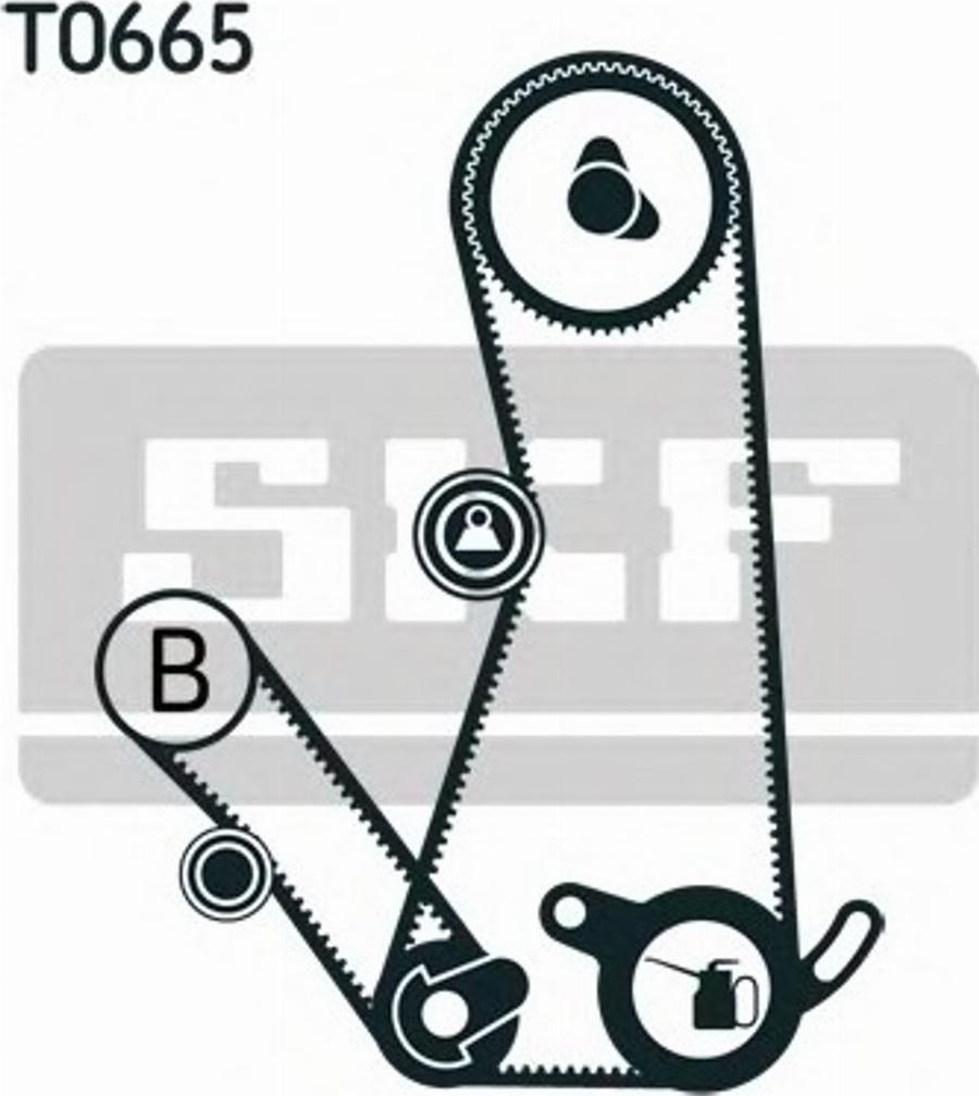 SKF VKMA95016 - Komplet zupčastog remena www.molydon.hr