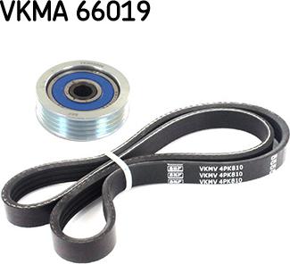 SKF VKMA 66019 - Garnitura klinastog rebrastog remena www.molydon.hr