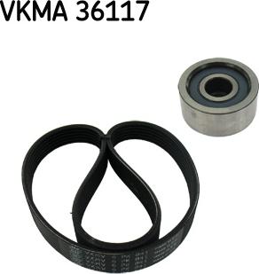 SKF VKMA 36117 - Garnitura klinastog rebrastog remena www.molydon.hr