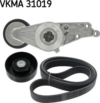 SKF VKMA 31019 - Garnitura klinastog rebrastog remena www.molydon.hr