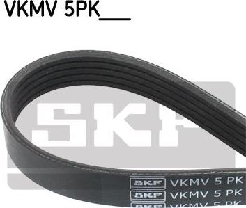 SKF VKMV 5PK1450 - Klinasti rebrasti remen  www.molydon.hr