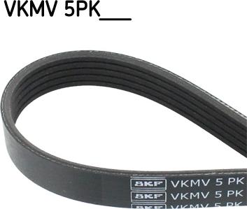 SKF VKMV 5PK1300 - Klinasti rebrasti remen  www.molydon.hr
