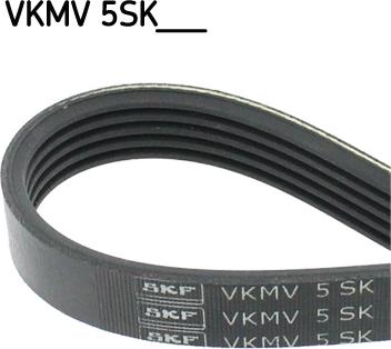 SKF VKMV 5SK926 - Klinasti rebrasti remen  www.molydon.hr