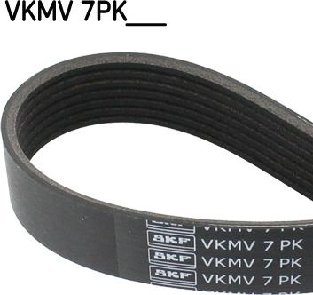 SKF VKMV 7PK1656 - Klinasti rebrasti remen  www.molydon.hr