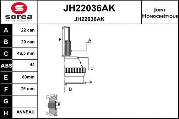 SNRA JH22036AK - Kardan, Pogonska osovina www.molydon.hr