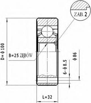 Statim CW.038 - Kardan, Pogonska osovina www.molydon.hr