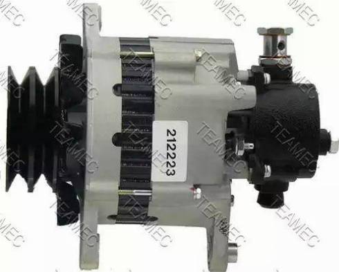 Teamec 212223 - Alternator www.molydon.hr