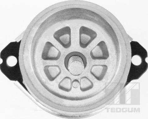 Tedgum 00728486 - Nosač motora www.molydon.hr