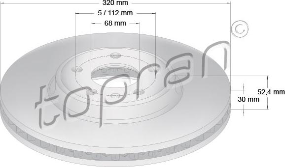 Topran 113 010 - Kočioni disk www.molydon.hr