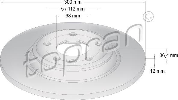 Topran 113 011 - Kočioni disk www.molydon.hr