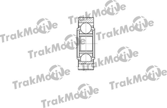 TrakMotive 45-0091 - Kardan, Pogonska osovina www.molydon.hr