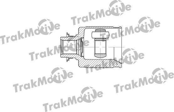 TrakMotive 45-0100 - Kardan, Pogonska osovina www.molydon.hr