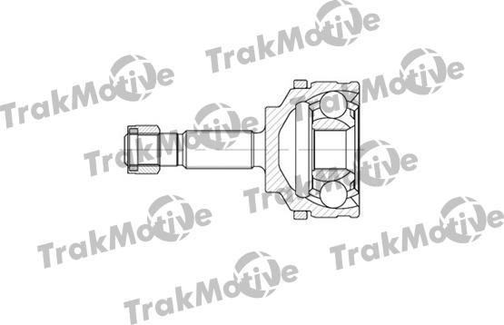 TrakMotive 40-0599 - Kardan, Pogonska osovina www.molydon.hr