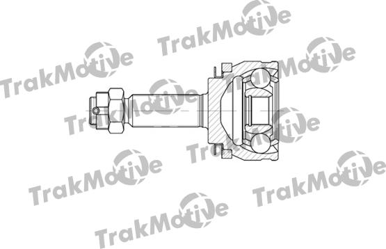 TrakMotive 40-0586 - Kardan, Pogonska osovina www.molydon.hr