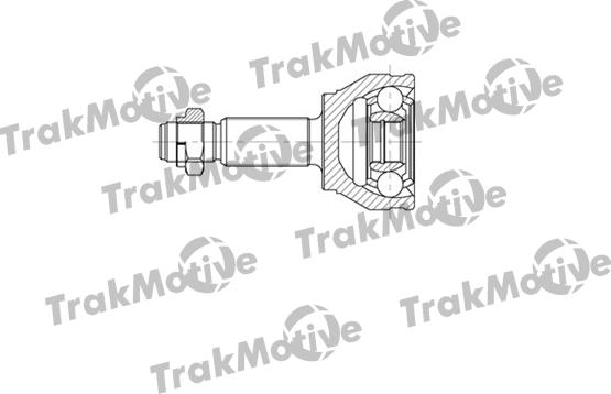 TrakMotive 40-0641 - Kardan, Pogonska osovina www.molydon.hr