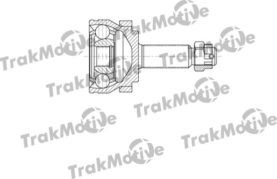 TrakMotive 40-0617 - Kardan, Pogonska osovina www.molydon.hr