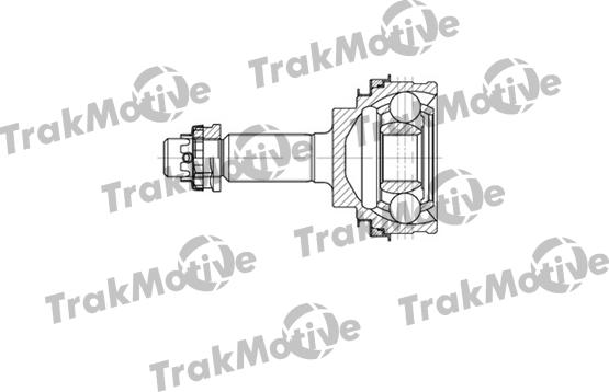 TrakMotive 40-0742 - Kardan, Pogonska osovina www.molydon.hr