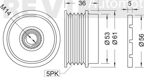 Trevi Automotive AP1005 - Remenica, alternator www.molydon.hr