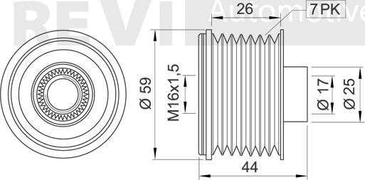 Trevi Automotive AP1162 - Remenica, alternator www.molydon.hr