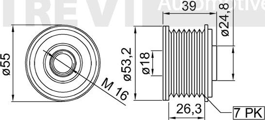 Trevi Automotive AP1116 - Remenica, alternator www.molydon.hr