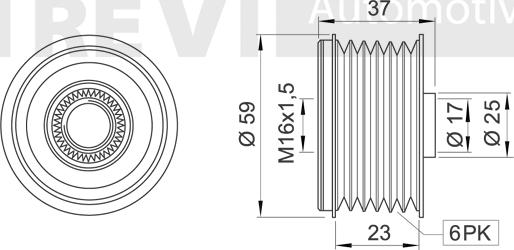 Trevi Automotive AP1182 - Remenica, alternator www.molydon.hr