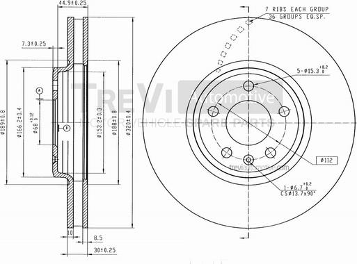 Trevi Automotive BD1239 - Kočioni disk www.molydon.hr