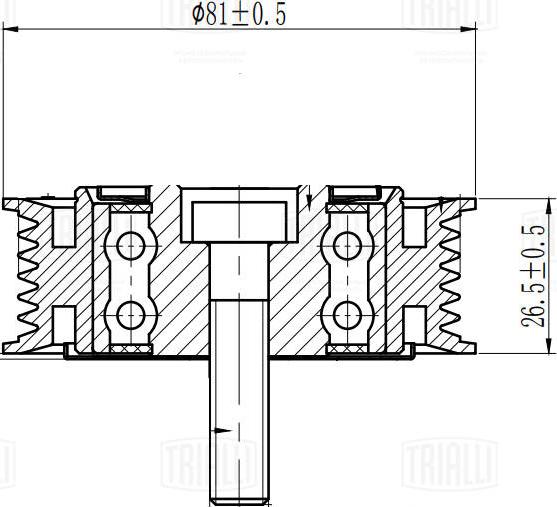 Trialli CM 5519 - Vodeći valjak , klinasti rebrasti remen  www.molydon.hr